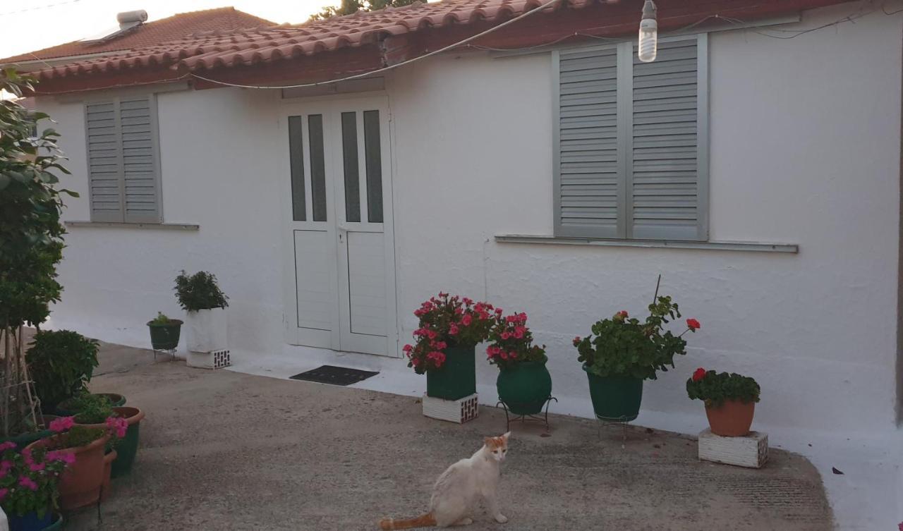 Mitikas Cosy Studio Villa Mítikasz Kültér fotó
